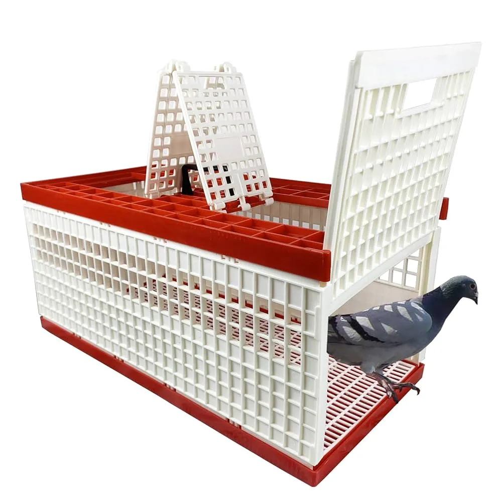 Plastic Transportation Bird Carrier