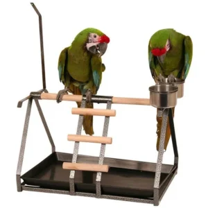 Practical and portable table top stand for Parrots