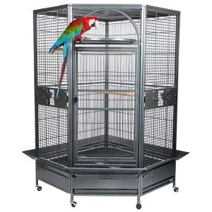 Toronto Corner Parrot Large Cage